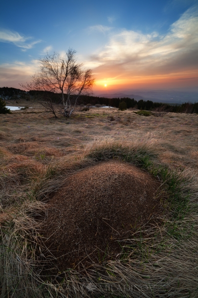 vitosha-platoto